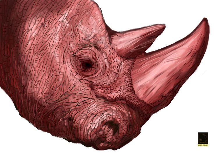 RHINO ART DIGITAL ART PHOTOSHOP
