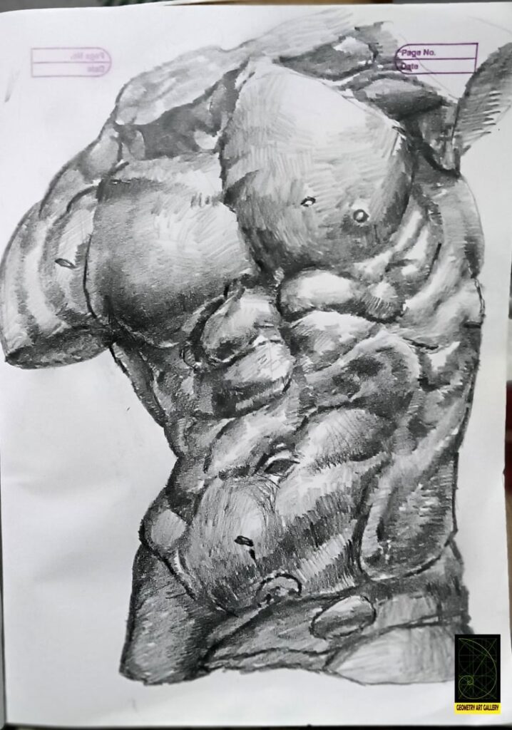 HUMAN TORSO ART