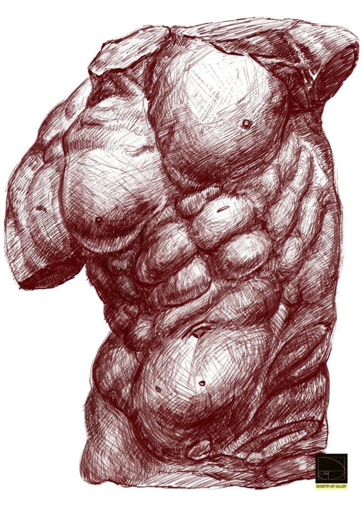 HUMAN TORSO ART PHOTOSHOP