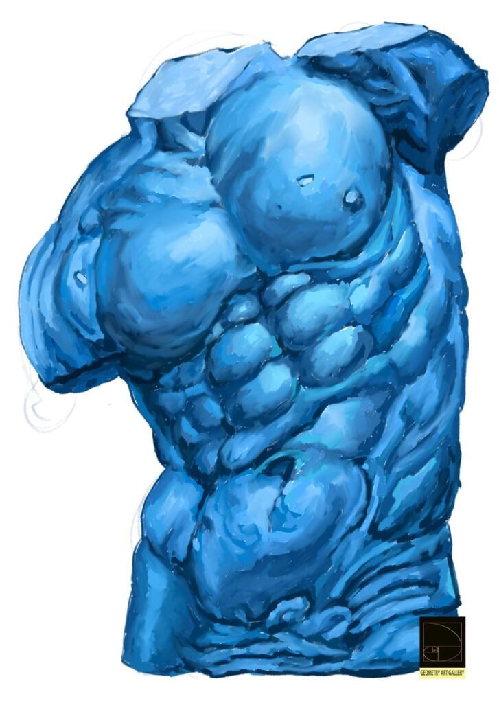 HUMAN TORSO ART