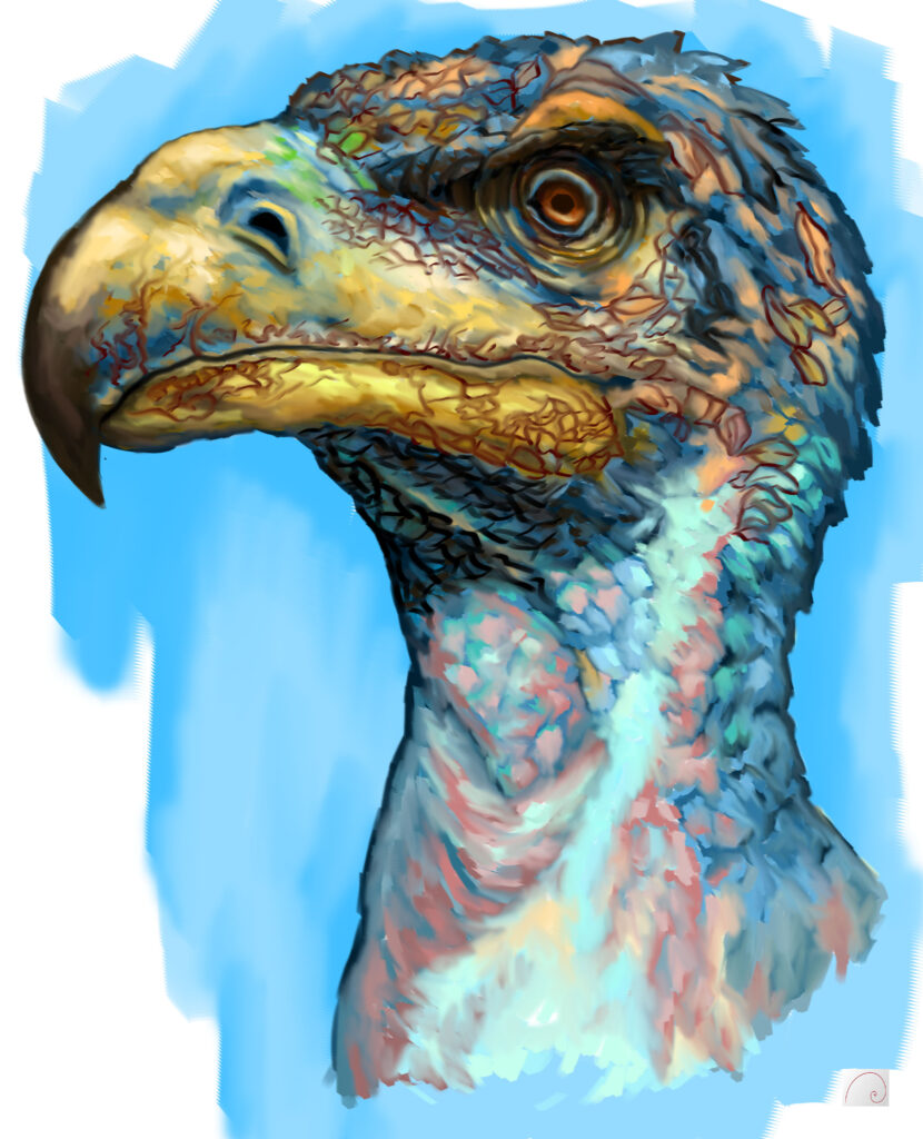 dinosaur raptor art