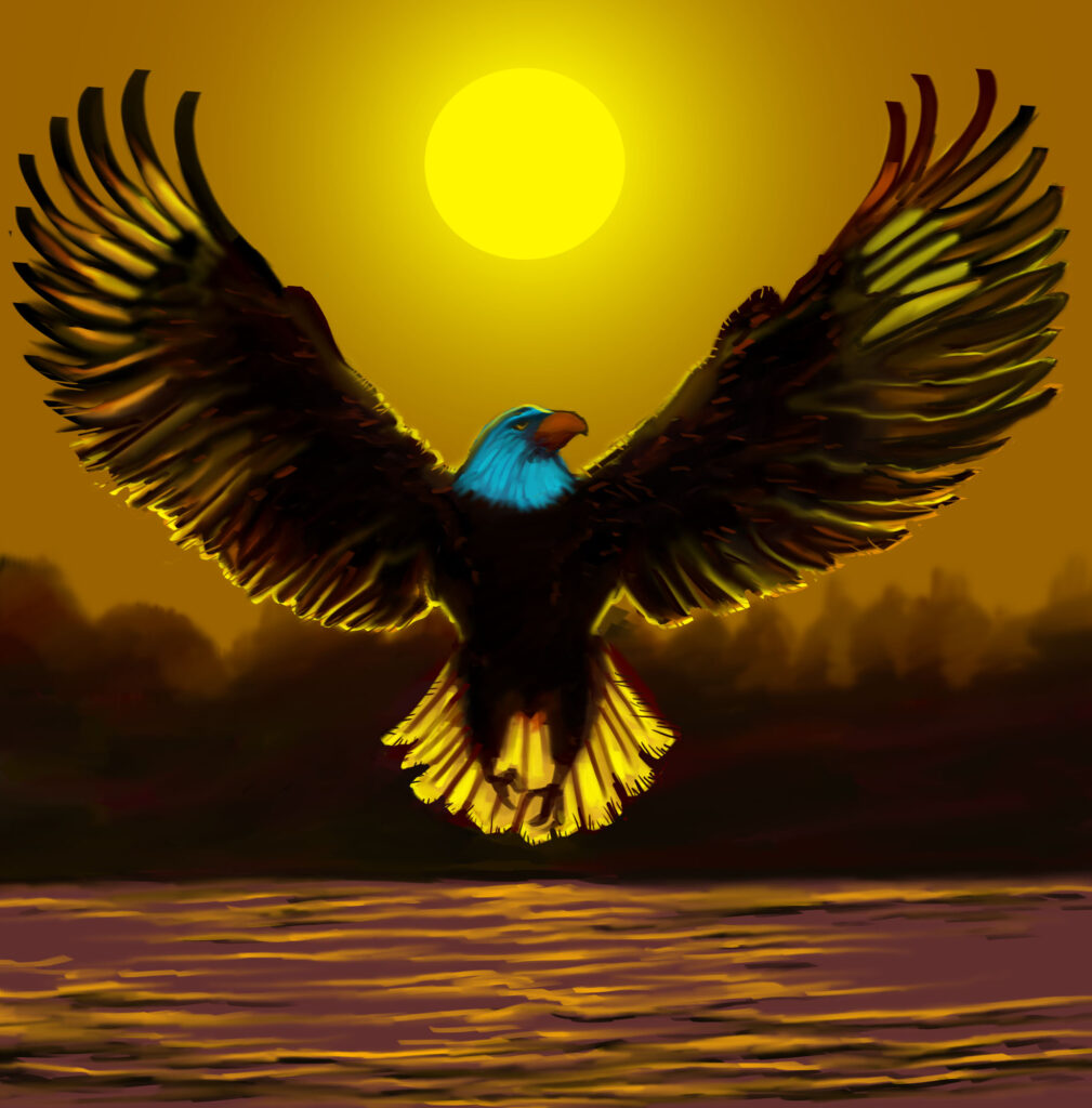 EAGLE IN SUNRISE FLY HIGH