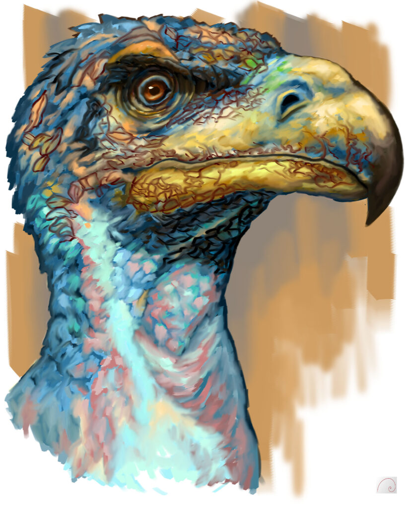 dinosaur raptor art