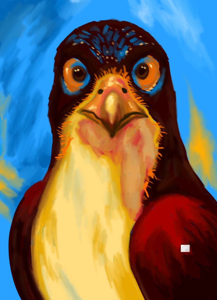 birds are getting extinct,save them
