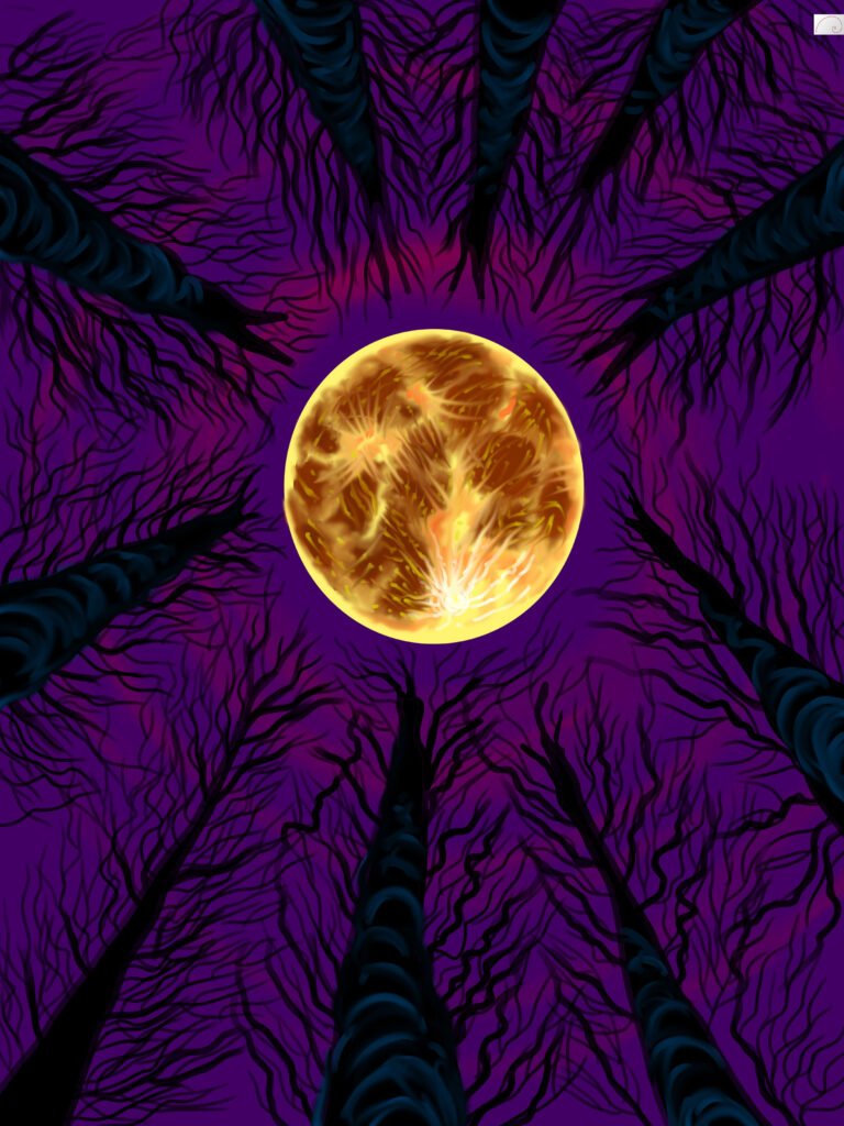 scenery in full  moon night
