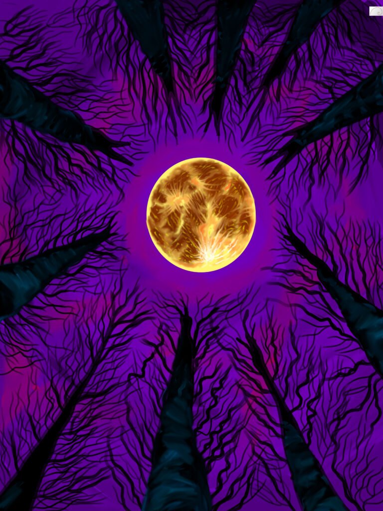 scenery in full  moon night